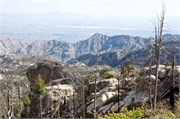 Tucson 2607